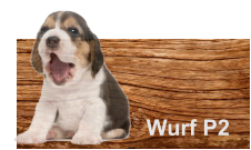 Wurf P2