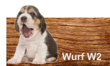 Wurf W2