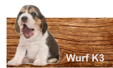 Wurf K3