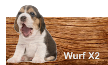 Wurf X2
